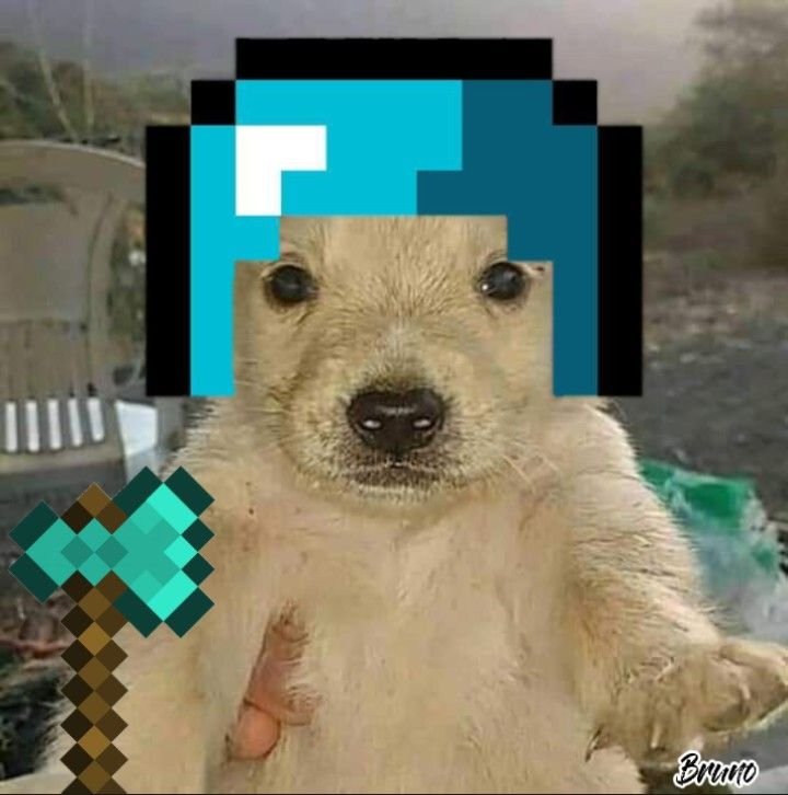 link2